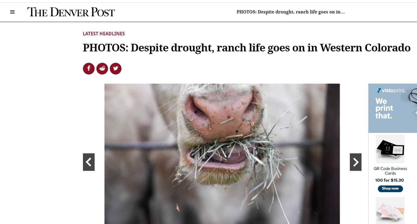 Despite drought, ranch life goes on in Western Colorado