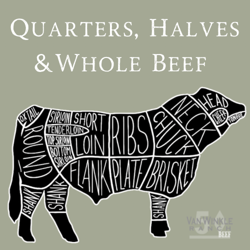 Diagram of a cow labeled with cuts of beef including quarters, halves, and whole beef sections, featuring terms like rib, brisket, sirloin, and flank, representing Van Winkle Ranch Beef.